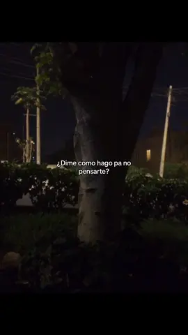 #miketowers #letra #video #fyp #fypp #fypシ゚ #paratii #paratiiiiiiiiiiiiiiiiiiiiiiiiiiiiiii #greenscreen #foryoupage #videoviral #viralllllll #viralditiktok #fouryou #musica #canciones #foryouu #indirectas 