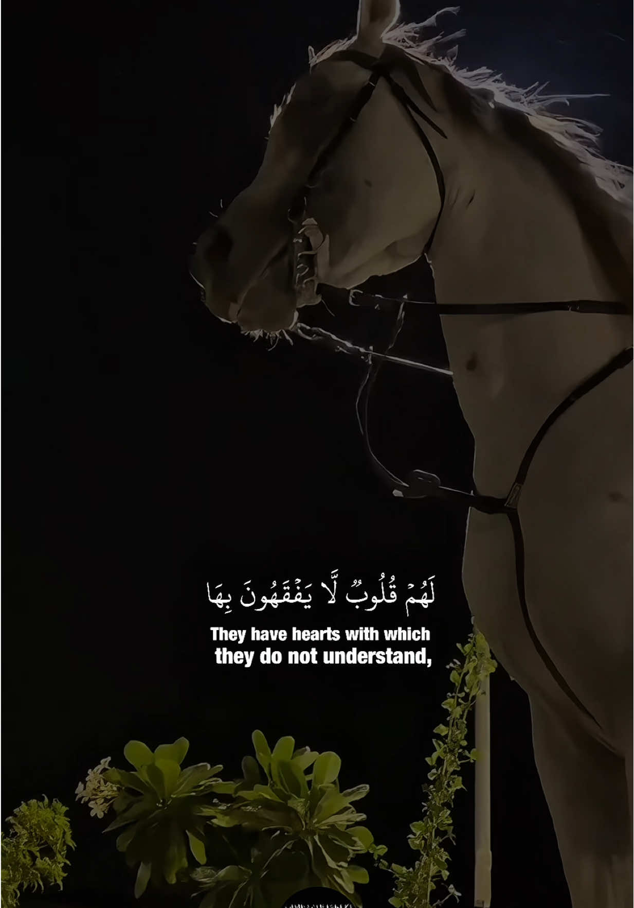 ومِن عَظيم لُطفِه أنَّهُ يراكَ مُبتسمًا فَيكتبها لكَ أجرًا، ويراكَ موجوعًا فَيغفر لكَ ذنبًا، وما بين الأجر والذنب؛ أنت مُحاطٌ بعين اللطيف دومًا 🤍🤍. #محمد_النقيدان #سورة_الأعراف 