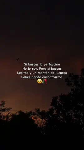 #CapCut #undiameamasluegomeolvidas #paravoce #stories #❤️🥀😍 #❤️🥺 #🥰💔🥀🥰💔🥀🥰💔🥀🥰💔🥀🥰💔 #deli #❤️🥺❤️ 