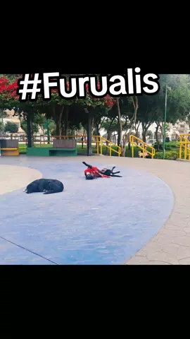 #Furulais
