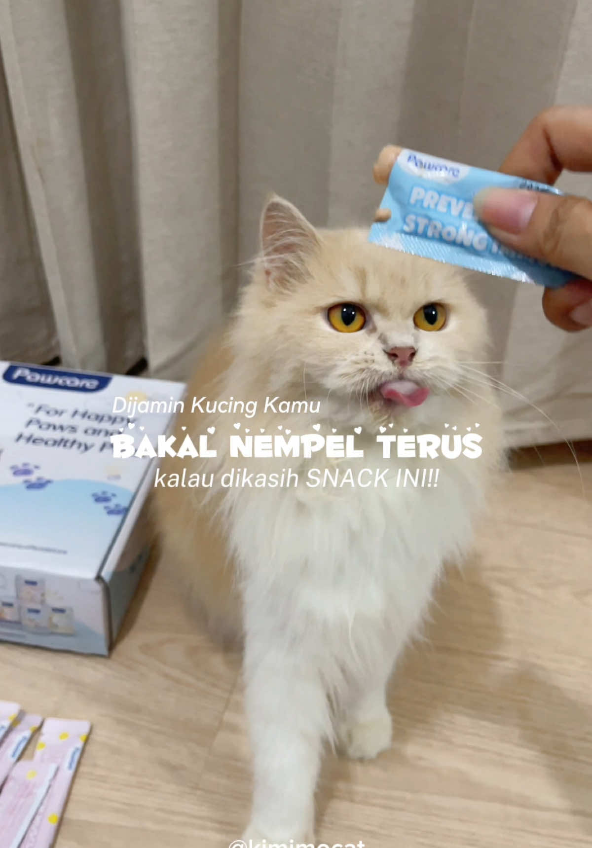 snack kucing creamy yg padet dan ga encer! dijamin anabul kalian bakal nempel terus🐱✨ #WedoPawcare #NyemilbersamaPawcare #Pawcareofficial 