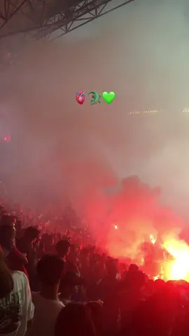 See youu tnggl 18#fyp #foryou #katakata #persebayasurabaya #persebayaday🐊🐊🐊 