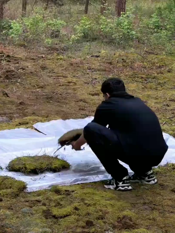 #asrm #camping #campinglife #camping24h 