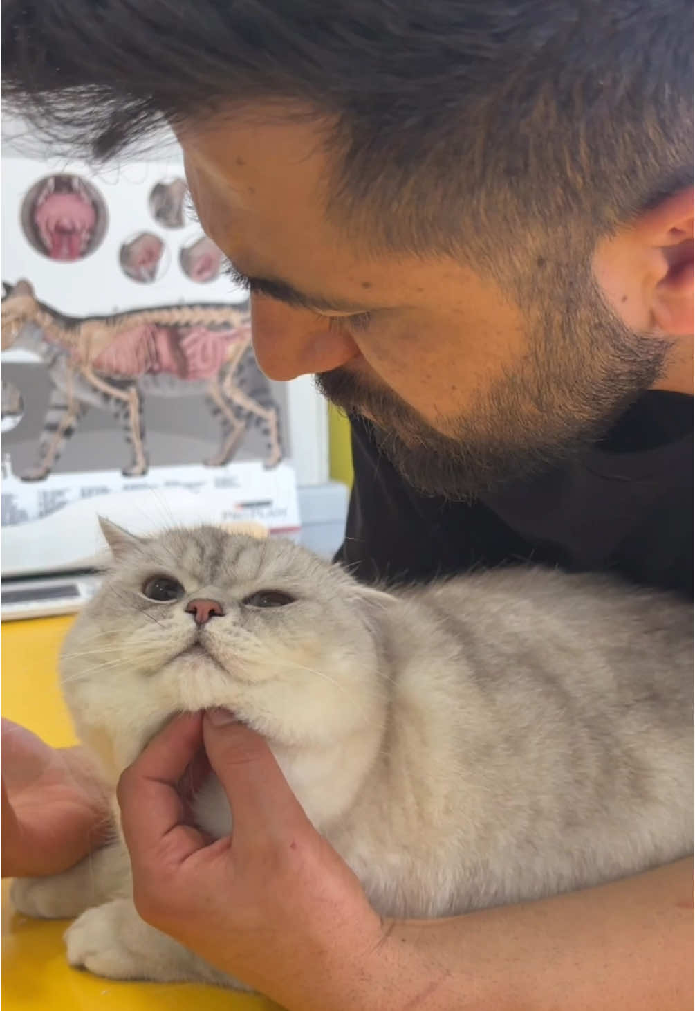Konu kilosuna gelene kadar aramız iyiydi… #k#kedik#kedilerk#kedilerimk#kedilerrrk#kedilerrrrr❤️c#catc#catsoftiktokk#kedilerindünyasık#kedilerisevink#kedilerindunyasik#kedilervadisiv#veterinerhekimv#veteriner_hekimv#veterinarylifev#veterineriav#veterinerlikv#veterinerhekimiv#veterinerhekimlikc#canlilarcanlılardünyası #hayvanlar 