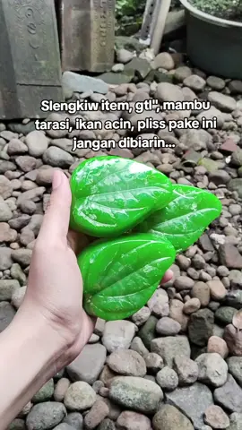 Yuk rutinin pake ini ya beb, jangan dibiarin#sabunsirih #dovina #perawatanwanita #sabun #sabunviral 