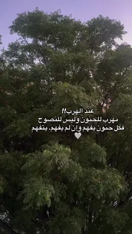 #اكسبلورexplore #اكسبلورexplore #اكسبلورexplore 