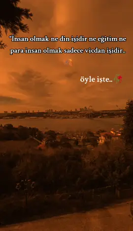 STORİLİYK Bıraktım 📌#storilik #bizeallahyardimeder #yilmazguney #ferhattunç #raconsozler #ahmetkaya 