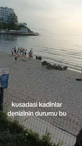 #neçıkarttiktoktürkiye #neçıkartbenikeşfe #CapCut #ti̇ktok #neçıkartiktoktbeniöneçıkar #beniöneçıkart #beniö #keşfet 