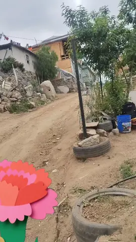 jajajaja 🤣🤣