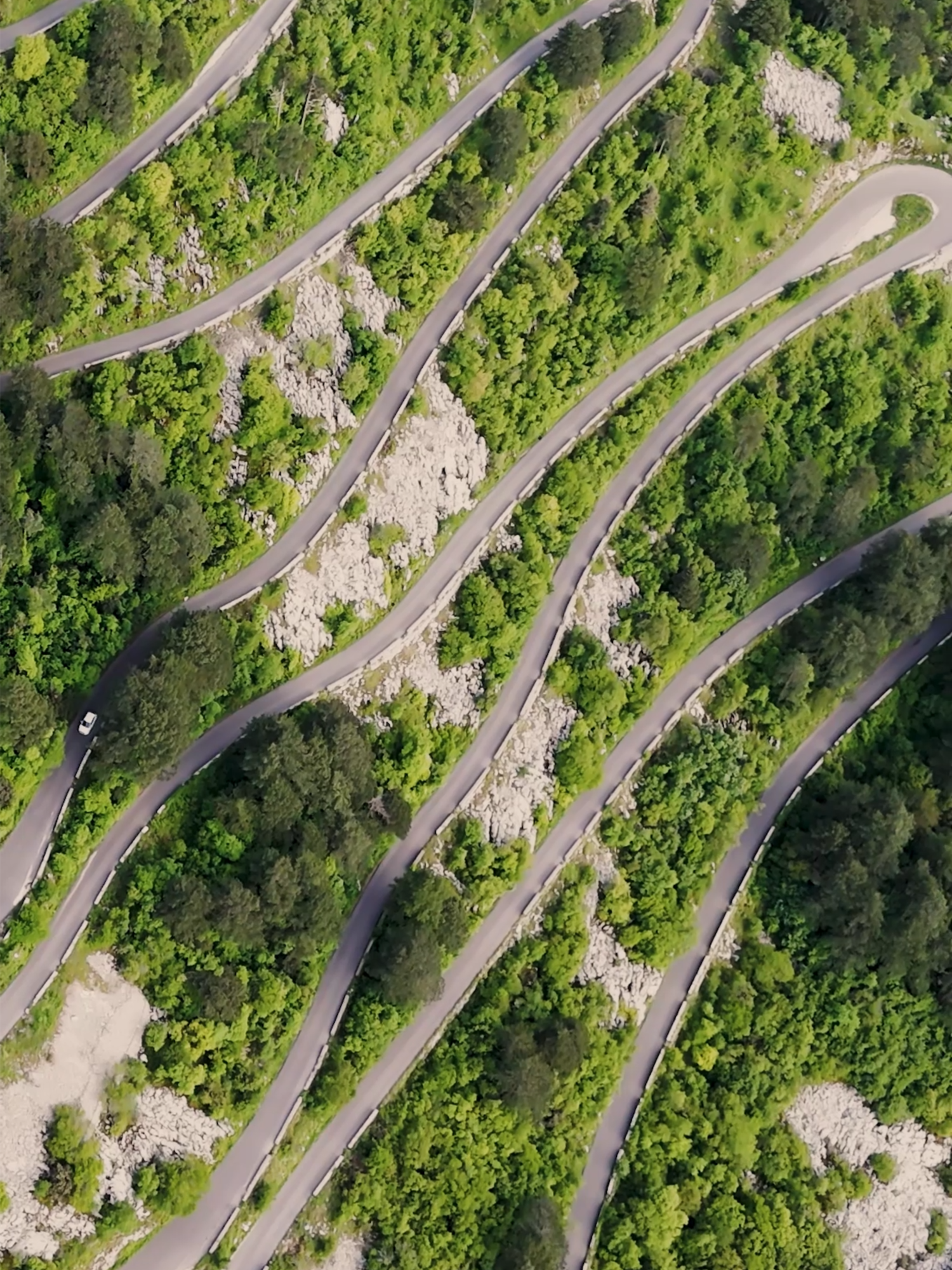 🔥 Insane hairpins, wild views, pure adrenaline! The Kotor Serpentine Road in Montenegro is next-level adventure. Would you drive it? 😱👇 #KotorSerpentine #Montenegro #RoadTrip #TravelTok