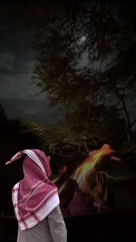 #أكسبلور_شعر_حكم_خواطر 