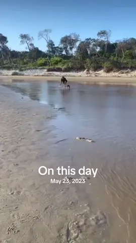 #onthisday 