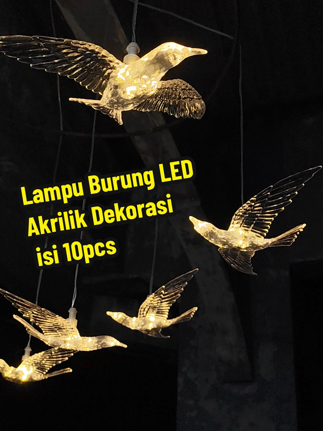 Lampu Burung Akrilik Dekorasi Gantung #lampu #dekorasi #lampuburung #akrilik #lampuakrilik #lampudekor #tenda #dekorasitenda #fyp 