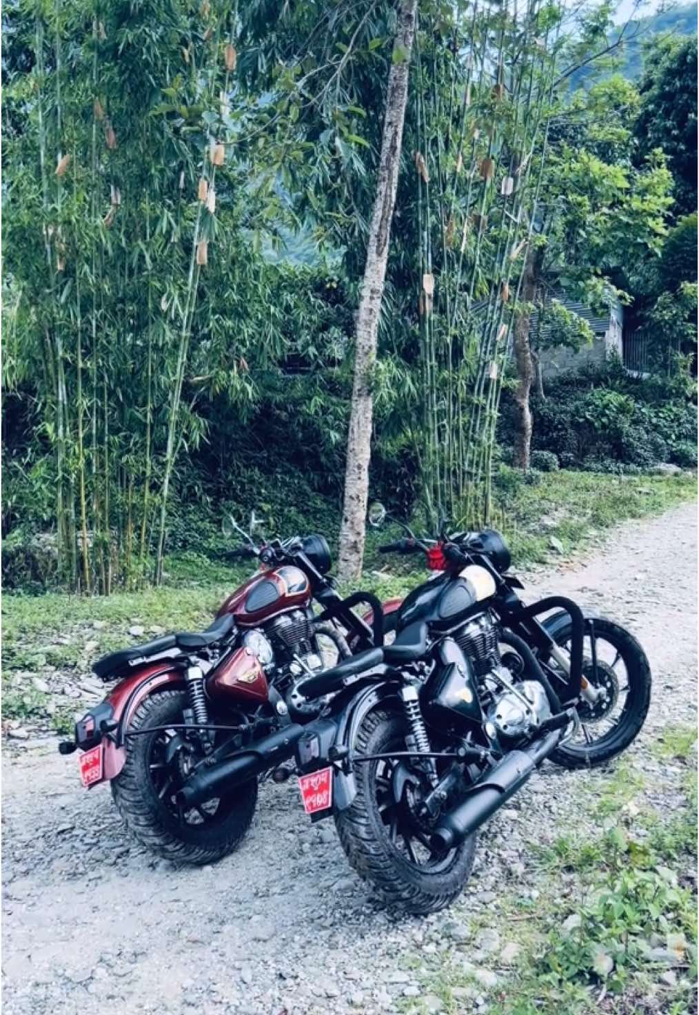 Gunda😛 #modifiedbullet 