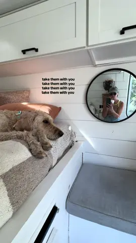 Vanlife is the best life  #vanlife 