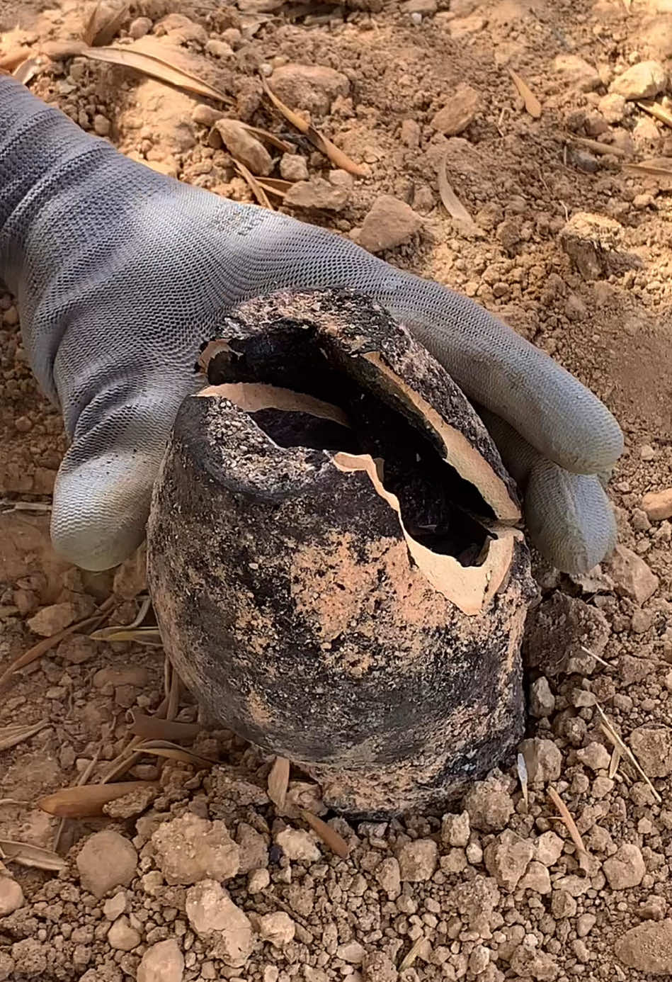 Treasure Find [ JAR FULL OF GOLD ] by Metal detecting #treasurehunt #gold #metaldetecting 