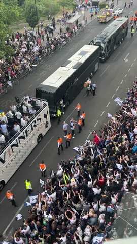 When the Tottenham parade starts in front of your building #tottenham #spurs #footballtiktok 