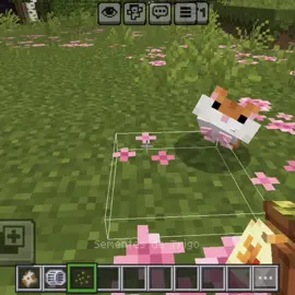 Tão pitiquinho 🥹🤏🏻💗🐹 #fyp #foryoupage #minecraftbedrock #Minecraft #mine #herobrine #minecraftmemes #foryoupage❤️❤️ #minecrafttutorial #mulherdepreso🔓🕊👫💍 