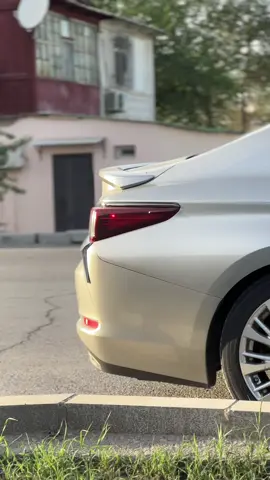 Lexus❤️