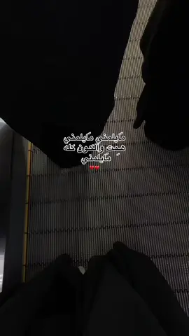 مَايلمني#باسم_الكربلائي #كربلاءالمقدسه #كربلاء_مدينة_العشق_والعاشقين #اكسبلورexplore #fyp #عباي 