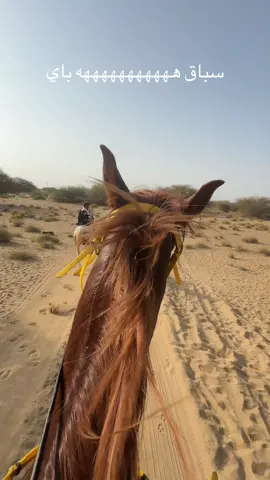 @عزوة الخيال لمستلزمات الفروسية:حرب ‏ما في شي جديد متعودين على الأول🔥🎠☝🏻