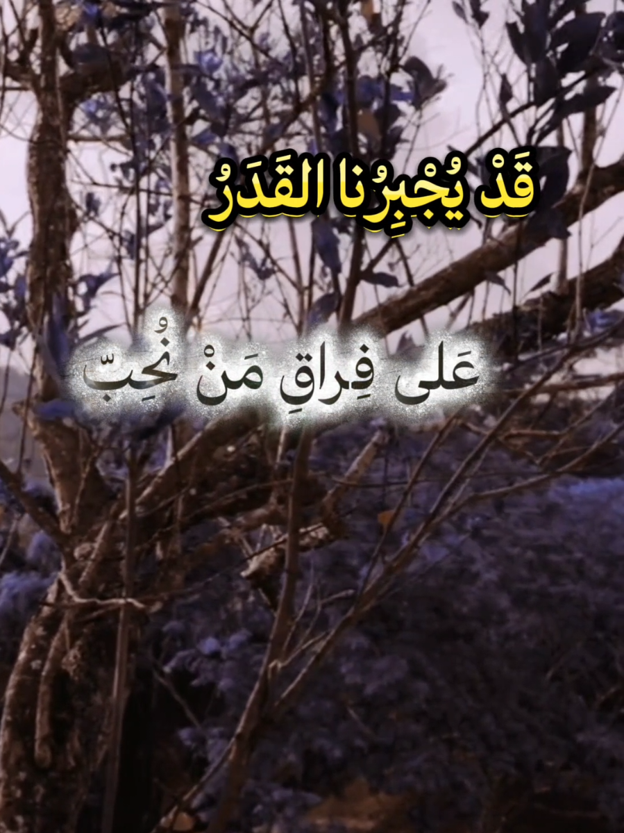 خواطر تلامس القلب #اقتباسات_عبارات_خواطر #للعقول_الراقية #تصميمي 