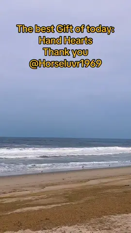 Thank you for the great Gift sent to my LIVE! Your appreciation for my content means a lot to me.@Horseluvr1969 #tiktoklive #livehighlights #livegift #handhearts 