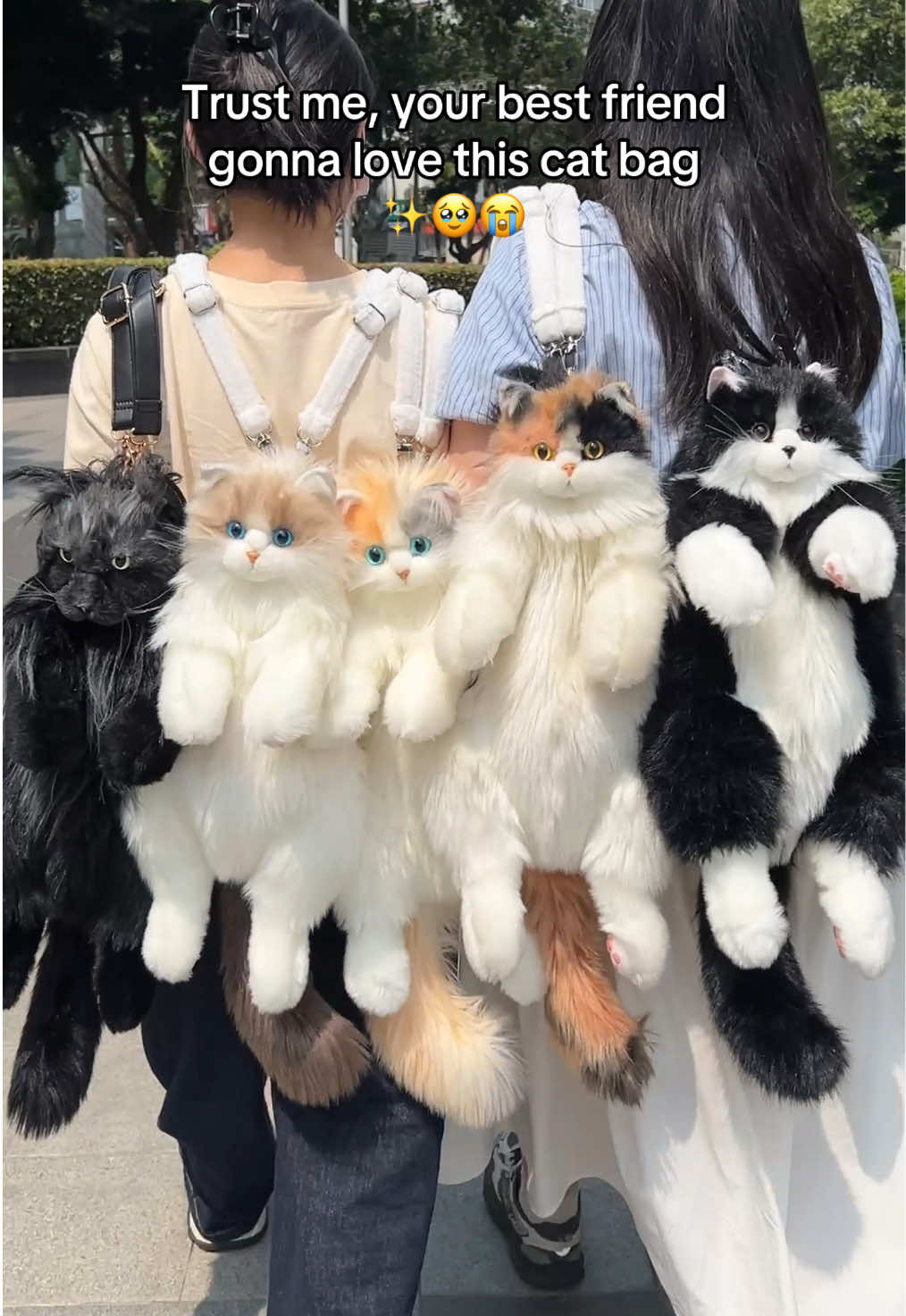I’m going to take this cat bag out with my best friend 🤩🤩#catlover #catsoftiktok #chongker #giftideas #viral 