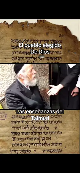 #vital #usa #paratodos #trump2024 #paratii #video 