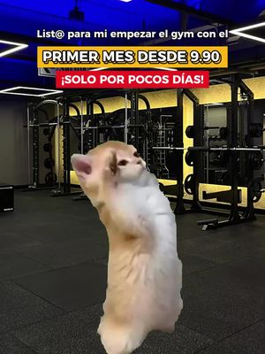 ¡PROMOCIÓN DE LOCURA! Entrena desde HOY con tu 1ER MES desde S/ 9.90.