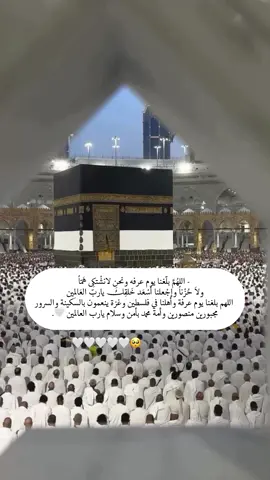 لاتنسوهم من الدعاء😔💔- اللهُمَّ بلّغنا يوم عرفه ونحن لانشْتكِى هَمّاً  ولاَ حُزْناً وإجْعلنا أسْعَد خَلقِكَ ياربّ العَالمِين اللهم بلغنا يوم عرفة وأهلنا في فلسطين وغزة ينعمون بالسكينة والسرور  مجبورين منصورين وأمة محمد بأمن وسلام يارب العالمين 🤍.#عشر_ذي_الحجة #اللهم_امين #ادعيه 