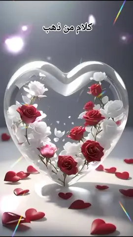#يسعاد_الله_مسااااااااائكم بكل خير #اسعد_الله_جميع_اوقاتكم🌹🌹 #