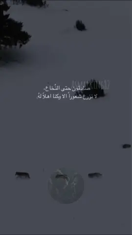 asmar / ألخال 