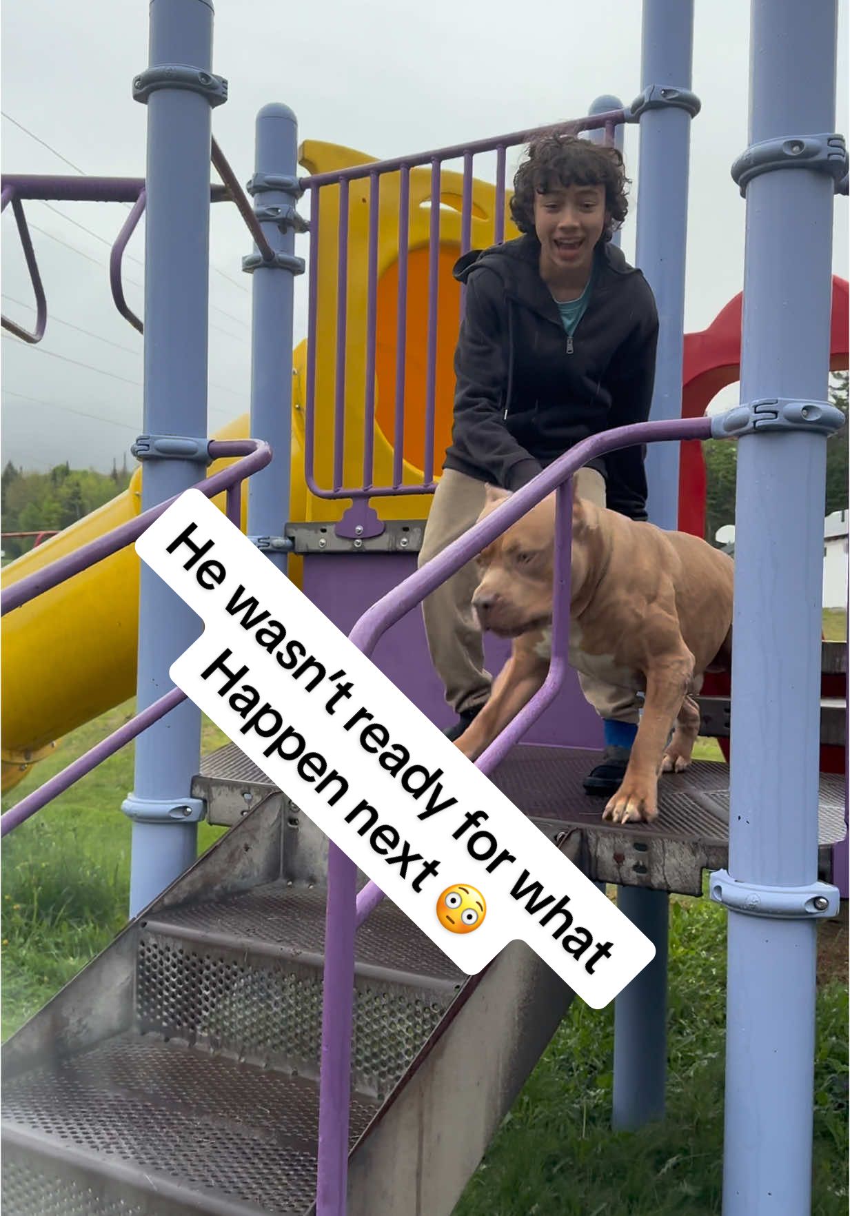 Every kid needs a security dog like this! He’s got it down! #fyp #dogsoftiktok #foryou  
