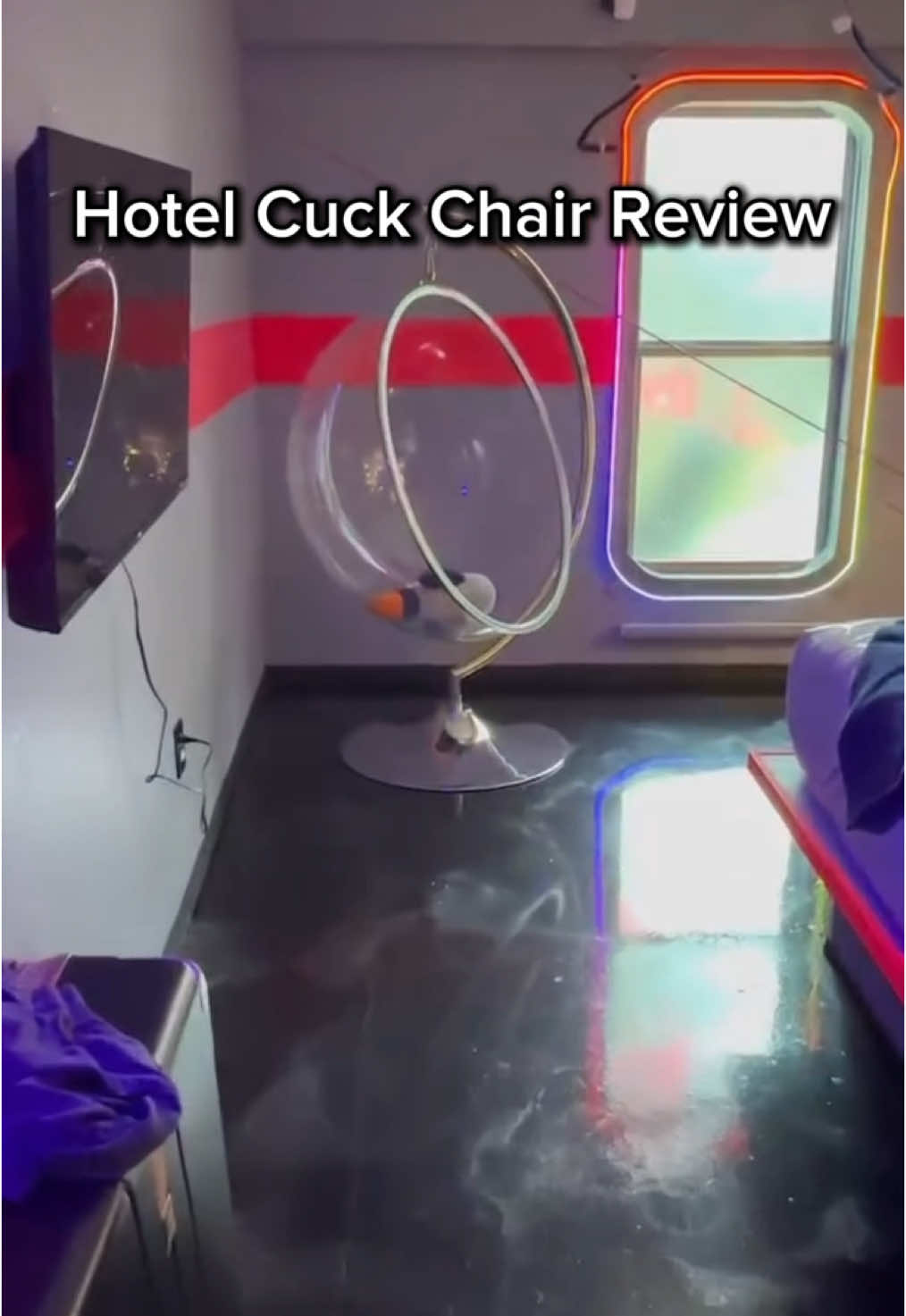 Cucknation supporter from Arkansas 🇺🇸🫡🤝#cuckchairoftheday #fyp #hotelroom 