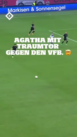 Agatha gibt es wirklich @GetOnMyLvL 🤯🔷 #nurderHSV #Agatha 