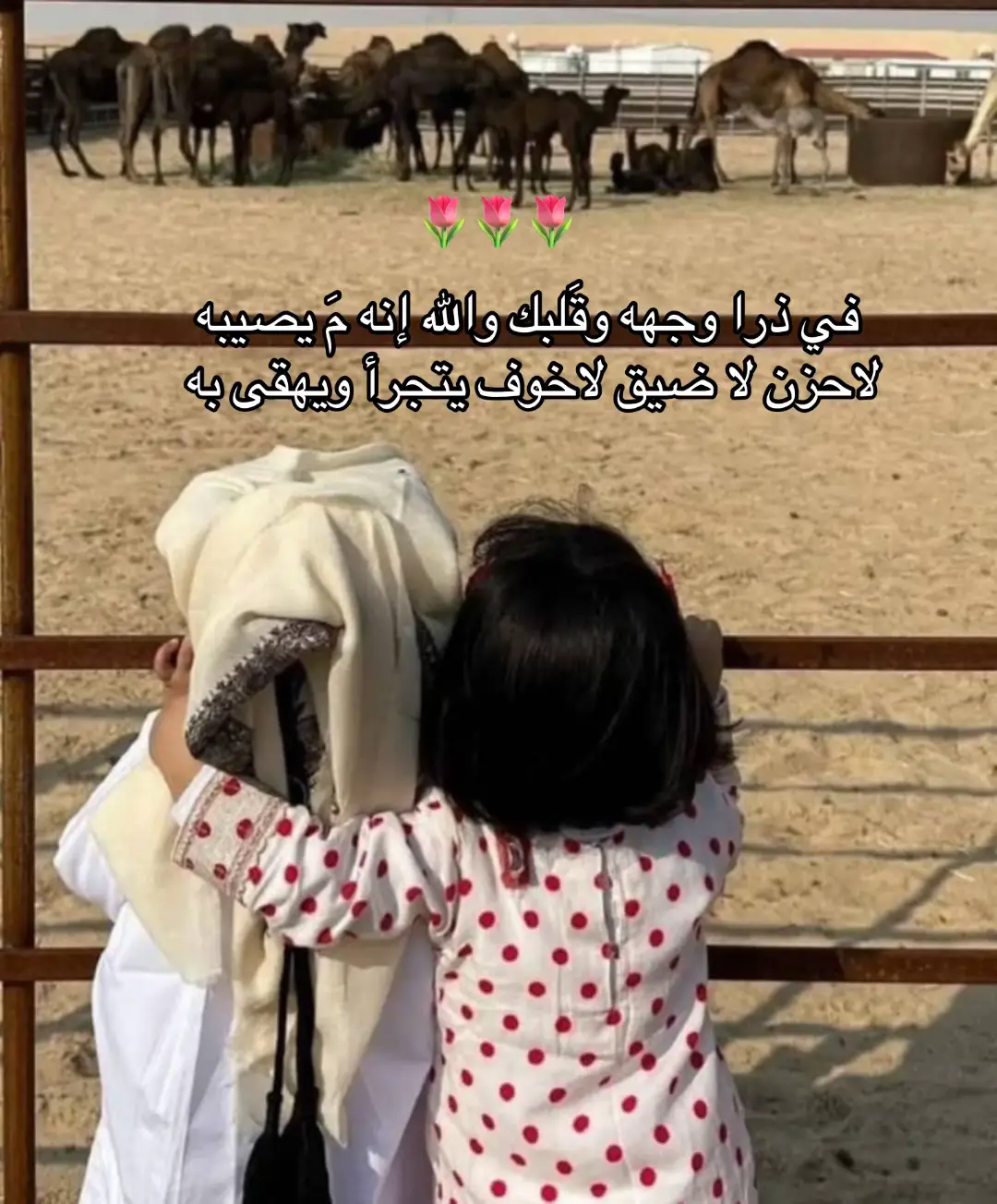 فِي ذرا وجهه وقلبك ❤️🌷#بدون موسيقى #عمر_بن_ هذال #شيلات #explore_اكسبلورر #fypシ゚viral🖤tiktok  #foryoupage 