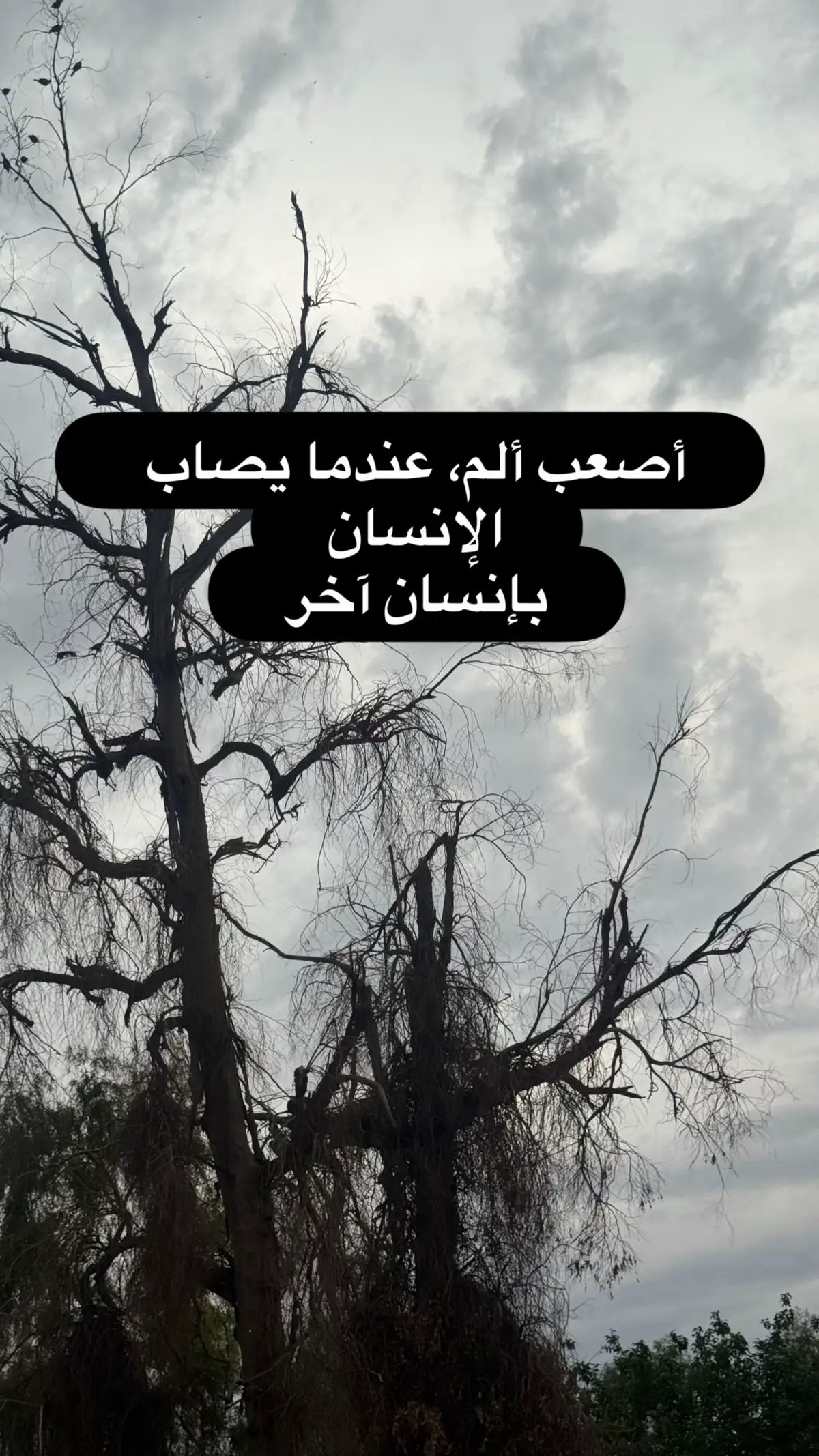#ستورياتيوبس #هاشتاكيوبس #محافظات_العراق #tiktok #اقتباس #