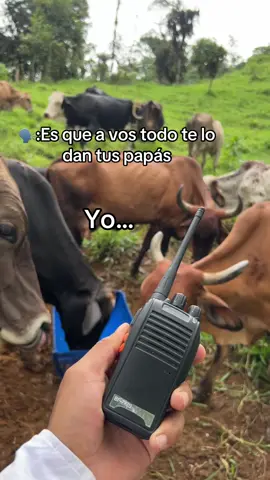 #tik_tok #fypシ゚ #videoviral #motivation #trabajo #partiiiiiiiiiiiiiiiiiiiiiiiii 