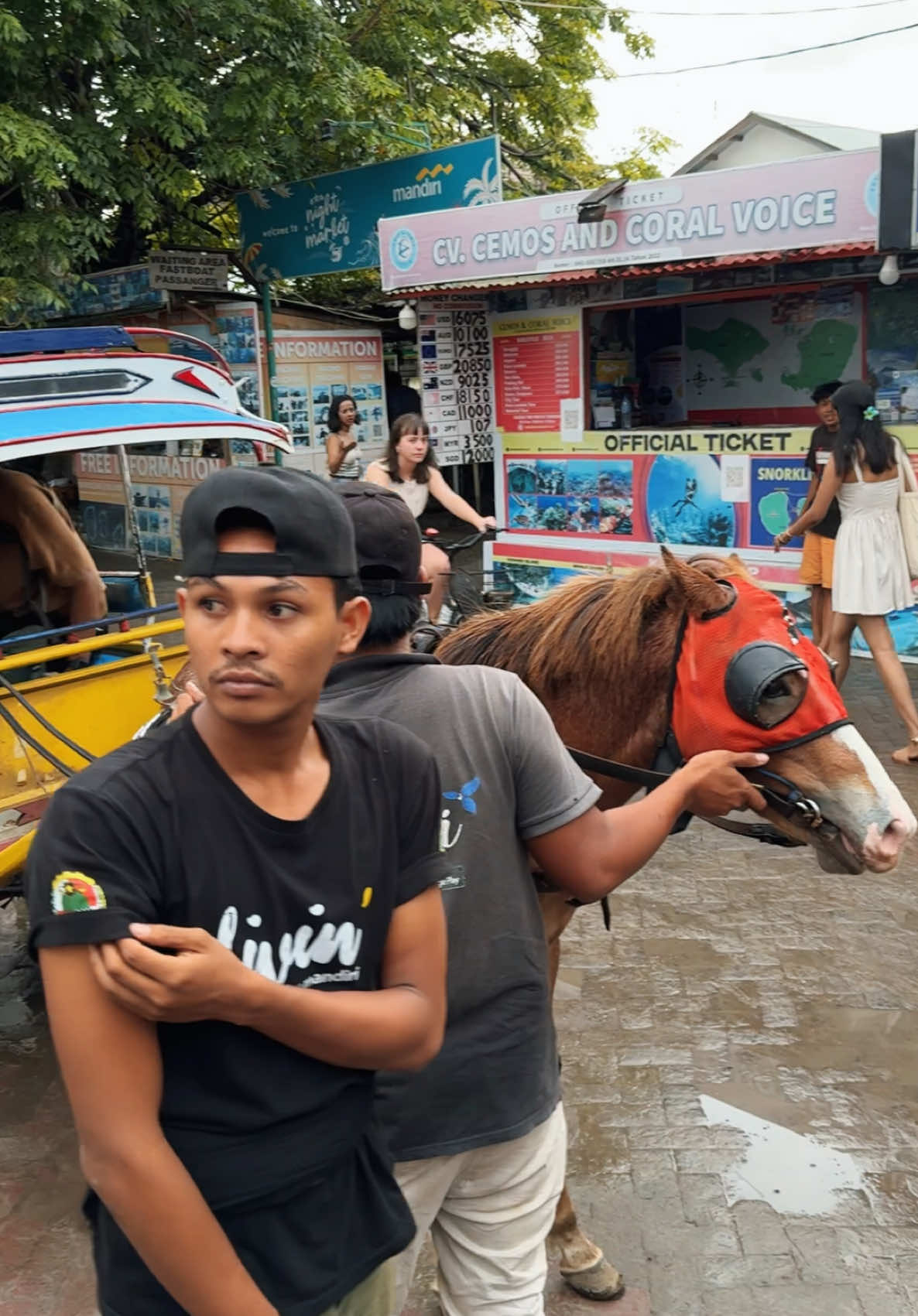 Taxi in Gili Island  ##indonesia🇮🇩##tanzania🇹🇿##kenyantiktok🇰🇪##ugandatiktok🇺🇬