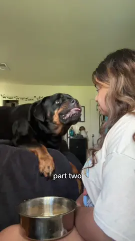 monthly trim 💅🏾 #rottweiler #rottweilersoftiktok #dogsoftiktok #doggiesoftiktok #PetsOfTikTok 