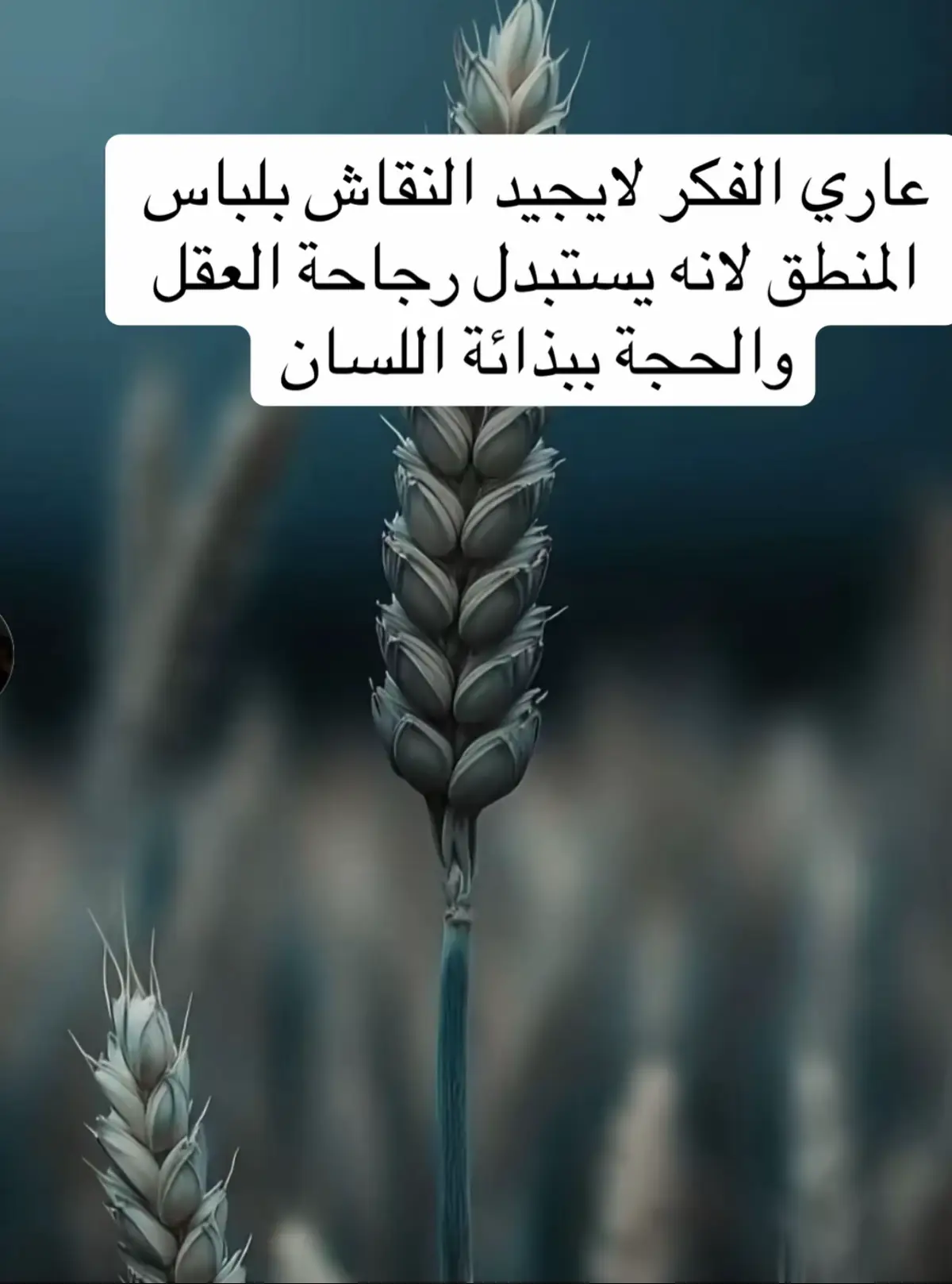 #capcut  #tiktok 