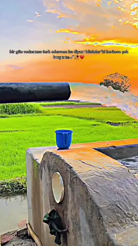 🥀💔