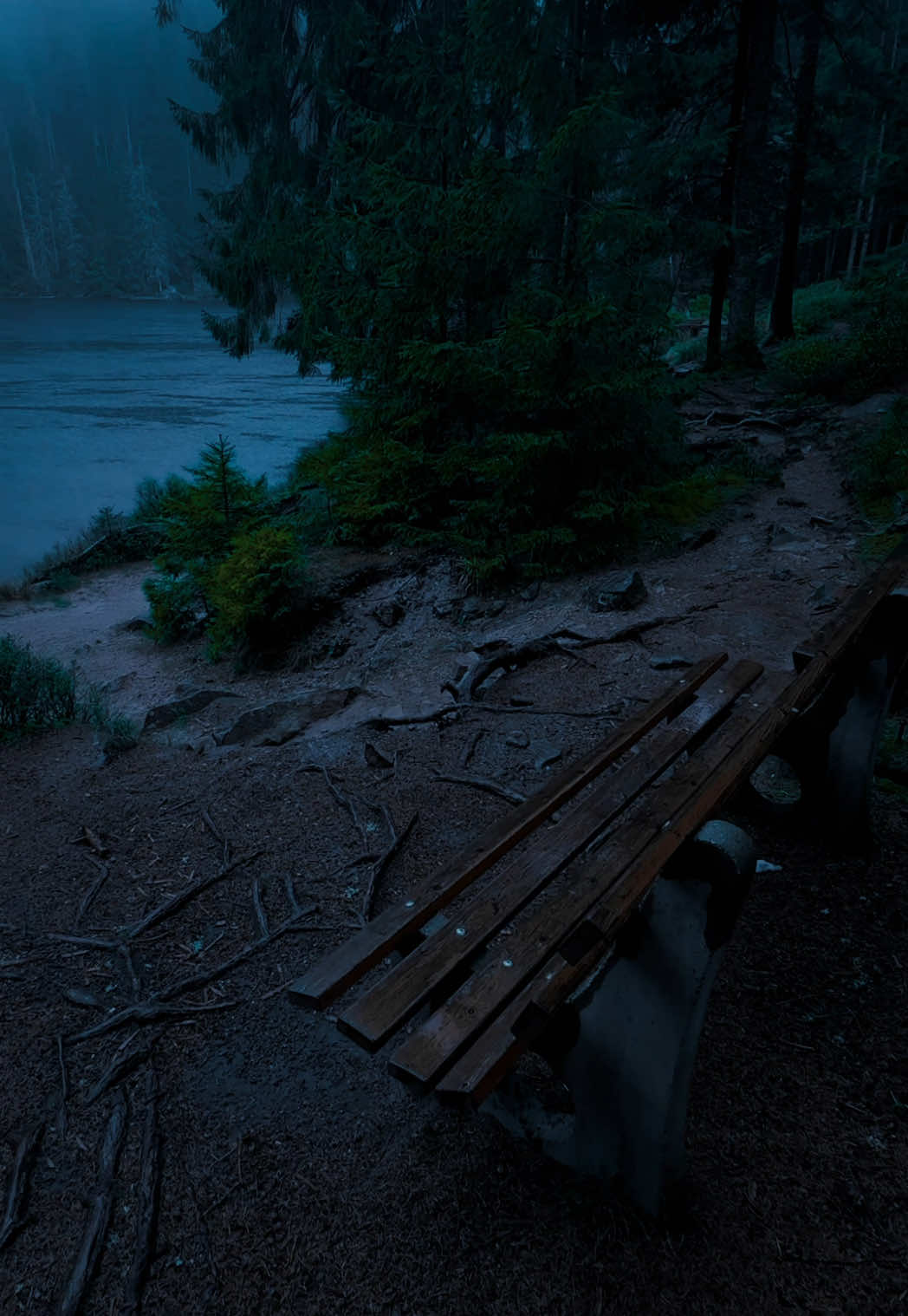 Peaceful Nature #nature #darkaesthetic #calm #naturephotography #foryоu #aesthetic #relax 