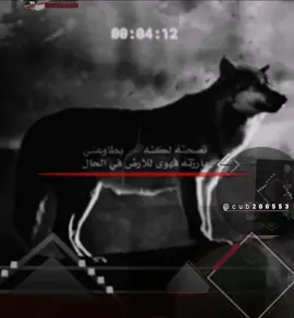 #capcutamor #اكسبلورexplore #تصاميم_فيديوهات #عبارات 