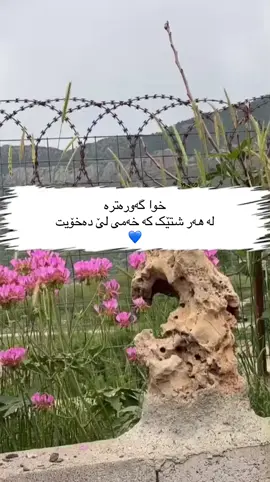 خوا گەورەترە لە هەر شتێک کە خەمی لێ دەخۆیت 💙#hawler_slemani_dhok_karkuk_hallabja #💛 #kurdistan #kurdistan #foryoupage #foryou 
