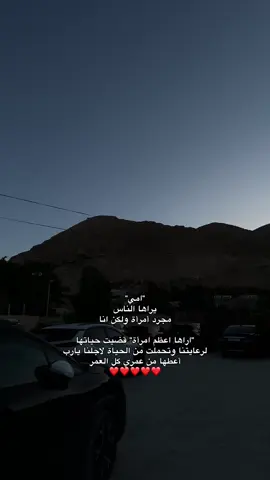 الأم❤️#رام_الله #بيتونيا #تصويري #اريحا #fyp #viral #الحب❤️ #اقتباسات #خواطر #الأم 