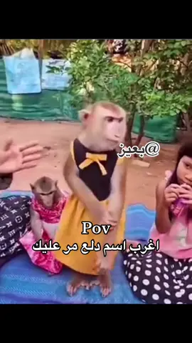 وش اغرب اسم دلع مر عليك ..؟ . . . #الشرقية_الخبر_الدمام #جيزان_صامطه_صبيا__بيش #الجوف_طبرجل_القريات #جدة #عبسي #قعيدالمجد #fyp #اكسبلورexplore #الرياض #متروفتش #شمس #جحفله_اخر_الدقايق #الدون #ابو_جركل #اكسبلور #ترند_تيك_توك #جراكيلو #ترند_جديد #حب #قعيد #ناصر #هستور #كرستيانو #tiktoklong  . . #CapCut 