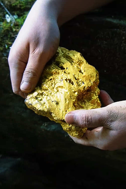 #gold #treasure #hunting #treasurehunt #diamond #goldpaning #goldnugget #usa 