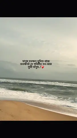 মানুষ যতক্ষন ঘুমিয়ে থাকে ততক্ষনই সে পৃথিবীর সব থেকে সুখী মানুষ..!❤️‍🩹#foryou #foryoupage #status #btiktokofficial #viral #unfreezemyacount @TikTok @TikTok Bangladesh 
